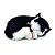Perfect PETZZZ Filhote Gato BLACK e White Shorthair - Imagem 2