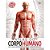 Livro ATLAS Corpo Humano 32PGS - Imagem 2