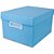 Caixa Organizadora THE BEST BOX G 437X310X240 AZP - Imagem 1
