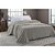Cobertor Microfibra Casal 180X220CM Estampado - Antialérgico - Imagem 6