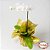 Orquídea Phalaenopsis - Imagem 2