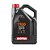 MOTUL 7100 10W40 100% Sintético Óleo Moto 4 Litros - Imagem 1