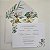 Convite Casamento Envelope Perolado Forrado Folhagem - Imagem 4