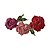 Fivela Rosas Coloridas - Imagem 2