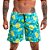 Shorts Masculino Summer Caipirinha Estampado LAVIBORA - Imagem 4