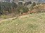 Sítio com 17 alqueires em Ouro Fino Minas Gerais - Imagem 2