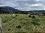 Sítio com 17 alqueires em Ouro Fino Minas Gerais - Imagem 3