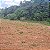 Sítio com 1 alqueire a venda em Mogi Mirim, SP - Imagem 3