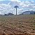 Sítio com 1 alqueire a venda em Mogi Mirim, SP - Imagem 8