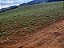 Fazenda com 140 alqueires à Venda entre Ipiúna e Santa Rita de Caldas /MG - Imagem 7