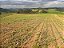 Fazenda com 140 alqueires à Venda entre Ipiúna e Santa Rita de Caldas /MG - Imagem 2