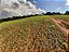 Fazenda com 140 alqueires à Venda entre Ipiúna e Santa Rita de Caldas /MG - Imagem 8
