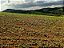 Fazenda com 140 alqueires à Venda entre Ipiúna e Santa Rita de Caldas /MG - Imagem 9