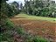Fazenda com 140 alqueires à Venda entre Ipiúna e Santa Rita de Caldas /MG - Imagem 4
