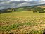 Fazenda com 140 alqueires à Venda entre Ipiúna e Santa Rita de Caldas /MG - Imagem 14