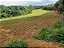 Fazenda com 140 alqueires à Venda entre Ipiúna e Santa Rita de Caldas /MG - Imagem 15
