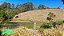 Fazenda com 40 Alqueires em Ouro Fino, Minas Gerais - Imagem 6