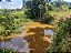 CHÁCARA À VENDA  COM 12.000 MTS EM OURO FINO, MINAS GERAIS - Imagem 5