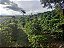 SÍTIO COM 6,5 ALQUEIRES, COM LAVOURA DE  CAFÉ EM OURO FINO, MINAS GERAIS - Imagem 6