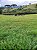 Excelênte Área Rural com 7 alqueires em Ouro Fino, Minas Gerais - Imagem 4