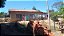 Sítio  com 4 Alqueires no Bairro Veridiana em Mogi Guaçu/SP - Imagem 20