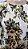 Animale cardigan estampa floral - Imagem 2