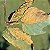 ROSAS - MANCHA FOLIAR E FERRUGEM - Auxiliar de controle na incidência de manchas foliares e ferrugem ((Phragmidium rosae-pimpinellifoliae)30ml - Imagem 3