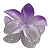 NEW-6 PIRANHA DE CABELO 8 cm - Imagem 1