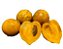 Muda De Mangostão Amarelo Ou Falso Mangostão - Imagem 1