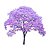 Muda Ypê Roxo Tabebuia Heptaphylla - Imagem 1