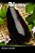 Sementes Berinjela Comprida Embu - Contém 400 miligrama - Imagem 1