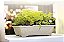 Vaso Texturizado Pré-Bonsai 13 - Areia - Nutriplan - Imagem 1