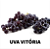 Mudas uva Vitória sem semente para climas quentes enxerto - Imagem 1