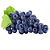 Uva BRS Violeta  Para Vinhos e suco para Climas Tropical-Enxerto - Imagem 4