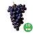Kit 10 Mudas Uva Francesa Preta  para Vinho e suco ou em Natura-enxerto - Imagem 1