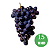 Kit 15 Mudas Uva Francesa Preta  para Vinho e suco ou em Natura-enxerto - Imagem 1