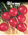 Semente Rabanete Redondo Crimson Gigante - Contém 1,4 grama(s) - Imagem 1