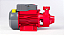 Bomba Periférica - 0,5cv Bb 500p - Vermelho - 220v - Branco Motores - Imagem 3