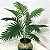 Palmeira artificial  tropical - Imagem 1