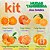 Kit 6 Mudas de Tangerina Enxertadas - Produção o Ano Inteiro (Cultivo em Vaso ou Solo) - Imagem 3