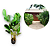 Muda de Mini Maranta Charuto - Imagem 1