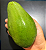 Muda De Abacate Quintal Enxertado - Imagem 3