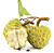 Muda  Fruta Pinha Enxertada - Imagem 2