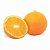 Muda De Laranja Abacaxi - Enxertada - Imagem 1