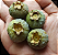 Muda De Guabiroba Branca ou Maracuja( Campomanesia neriiflora ) - Imagem 4
