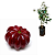 Muda de Pitanga Bordô (Eugenia uniflora) - Imagem 1