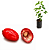 Muda de Fruta do Mistério (Synsepalum sp.) - Imagem 1