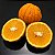 Muda de Laranja Carambola Enxertada - Imagem 3