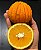 Muda de Laranja Carambola Enxertada - Imagem 2