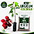 Muda colorau ou Urucum + 100g adubo completo 7-28-14 - Imagem 1